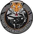 509th Tigers